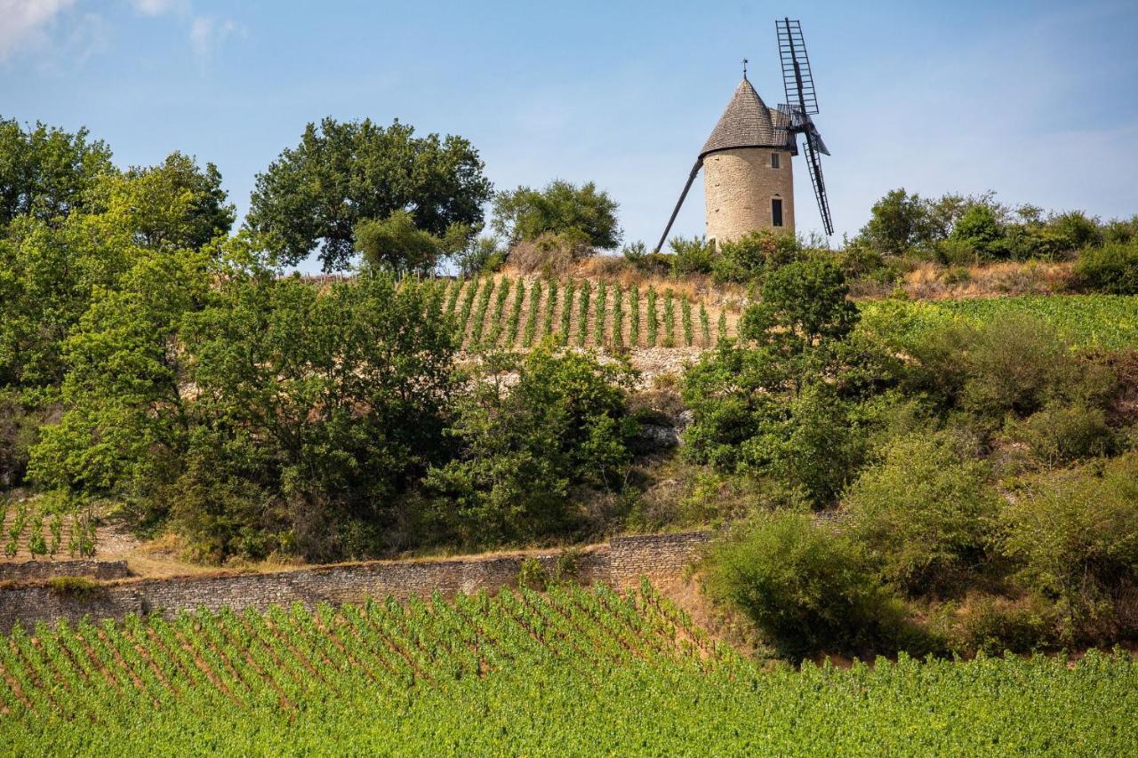 Camping De Santenay Santenay  Kültér fotó