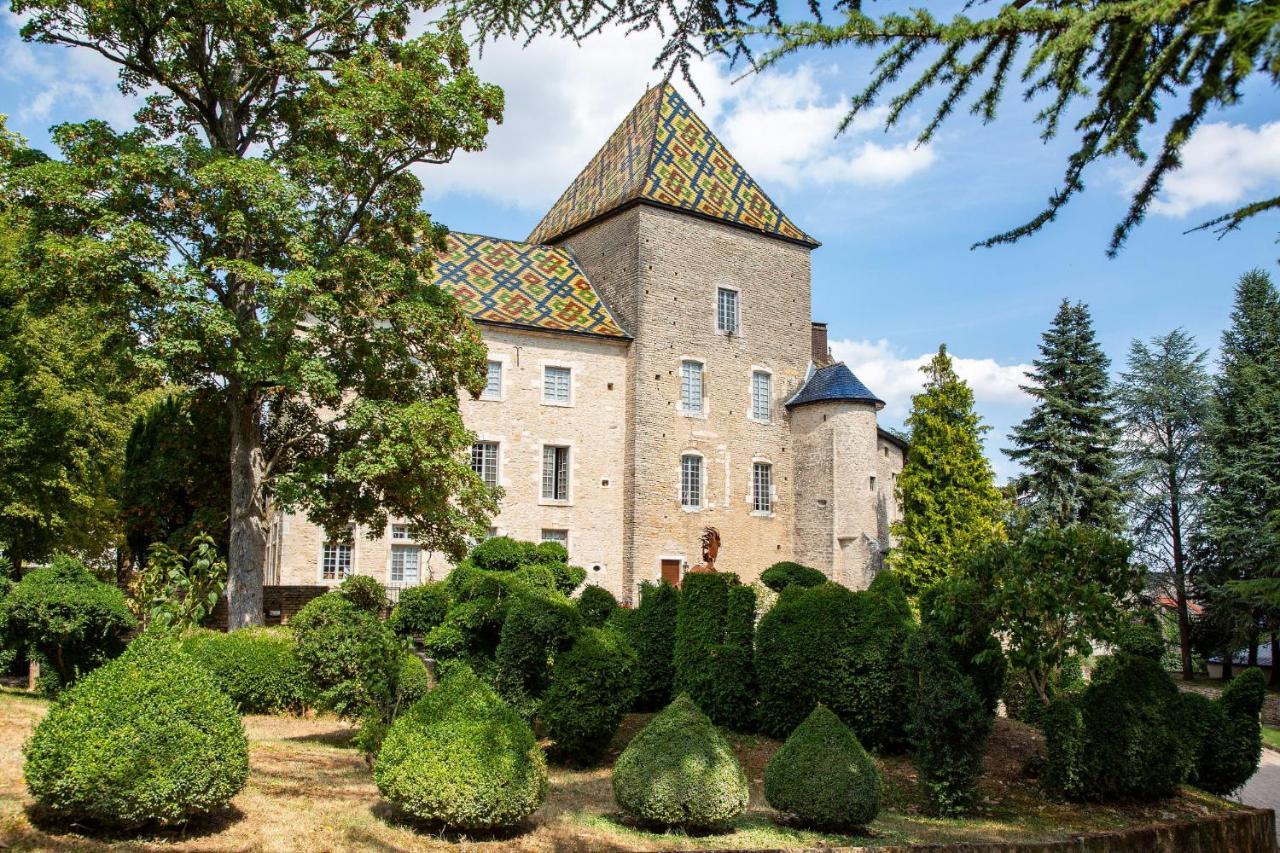 Camping De Santenay Santenay  Kültér fotó